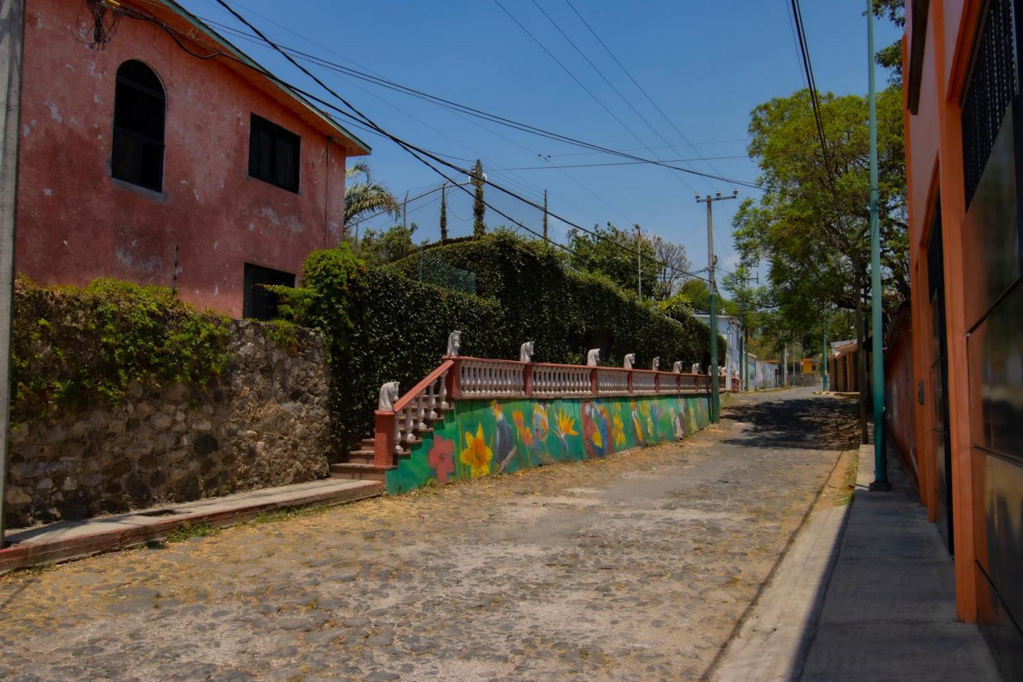 New! Bamboo Rooftop Villa Cuernavaca Exterior photo